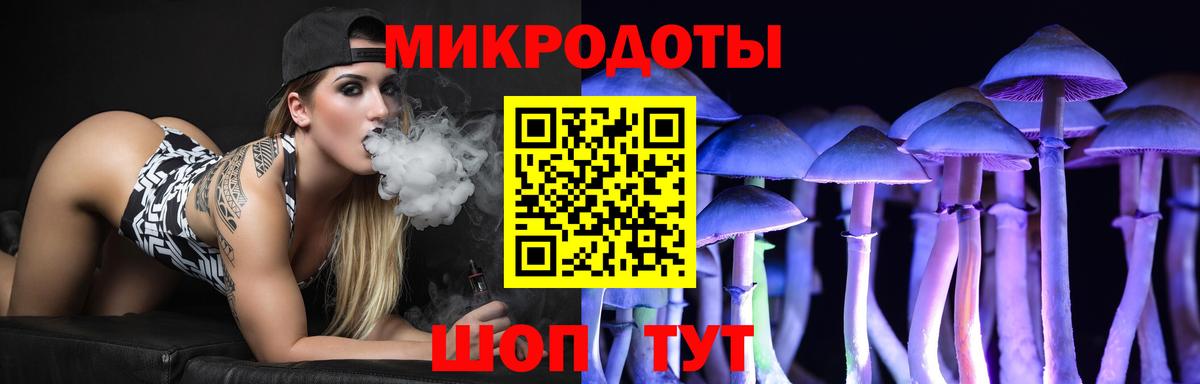 Псилоцибиновые грибы Psilocybe Белогорск